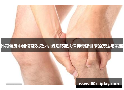 体育健身中如何有效减少训练后钙流失保持骨骼健康的方法与策略
